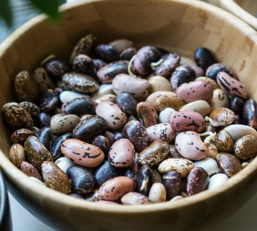 Are Beans Really Bad For You? Debunking Common Myths