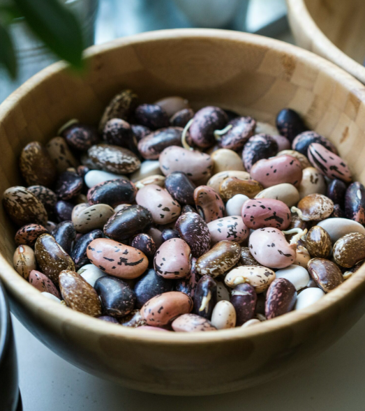 Are Beans Really Bad For You? Debunking Common Myths