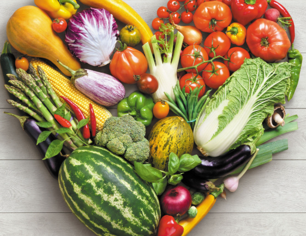 Understanding Plant-Based Protein: Expert Advice for Healthier Choices