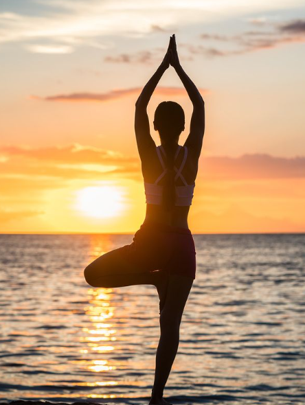 The 5 Essential Pillars of Wellness: A Simple Guide to Self-Care