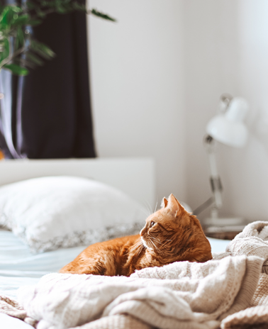How to Create a Bad Day Survival Kit for Finding Calm