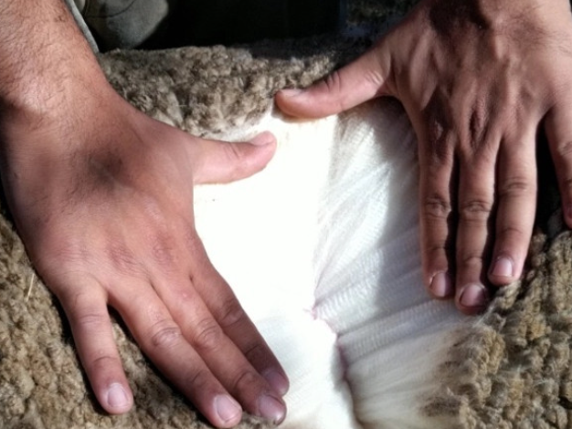 The Many Benefits of Wool: A Sustainable and Comfortable Choice