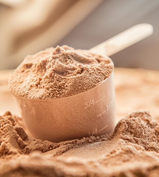 A Beginner’s Guide to Understanding Protein